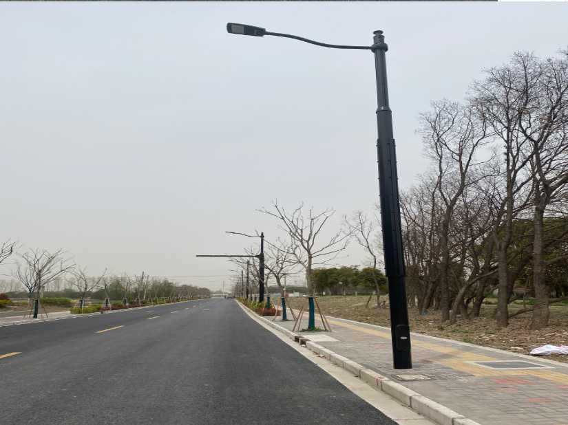 扎鲁特旗上海综合杆 太阳能路灯工程